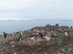 PICT0183-3.jpg